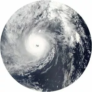 Typhoon Rolly - 2004 typhoon