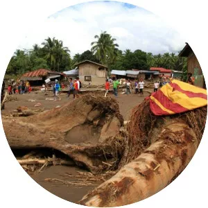 Typhoon Tembin - 2017 tropical cyclone