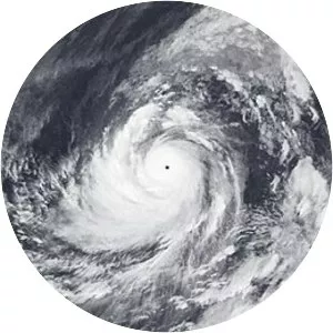 Typhoon Tip - 1979 tropical cyclone