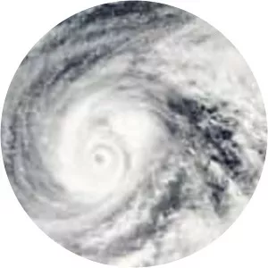 Typhoon Vongfong - 2014 tropical cyclone