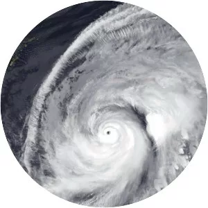Typhoon Wipha