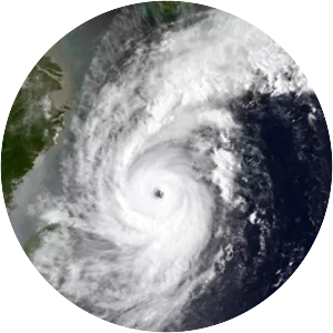 Typhoon Yancy