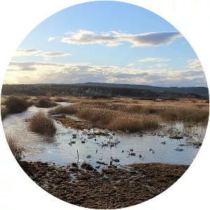 Tysslingen - Lake in Sweden