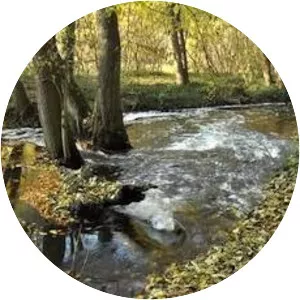 Tywa - River in Poland