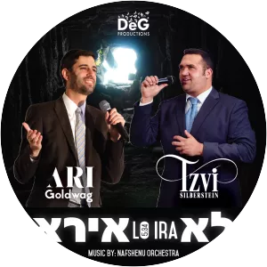 Tzvi Silberstein - Musical artist