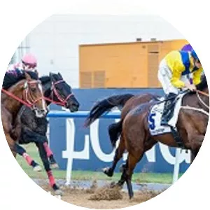 UAE Derby - 