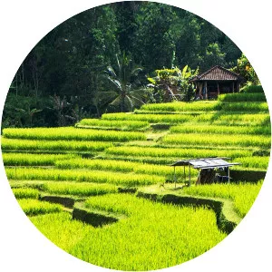 Ubud