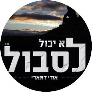 Udi Damari - Musical artist