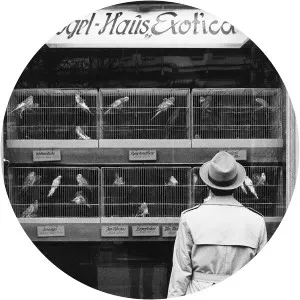 Udo Hesse - Photographer