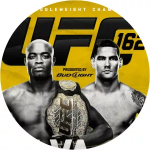 UFC 162: Silva vs. WeidmanSince 2013