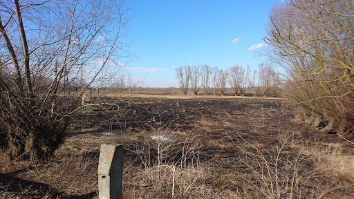 Ukrposhta 77365 - Post office in Sivka-Voinylivs'ka, Ukraine