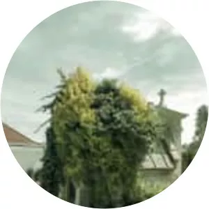 Ulrich Förster (Uzzi Förster)