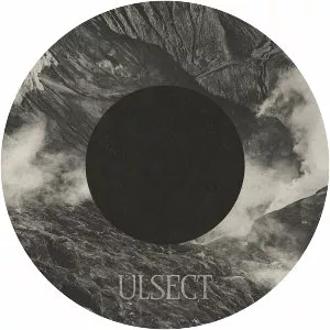 Ulsect