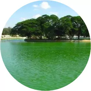 Ulsoor Lake