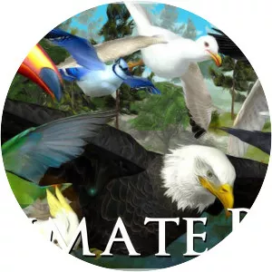 Ultimate Bird Simulator