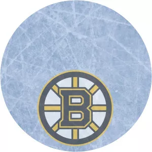 Ultimate Bruins Show