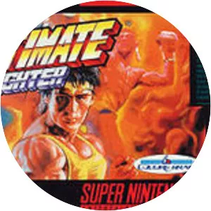 Ultimate Fighter - Video game