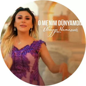 Ülviyye Namazova - Musical artist