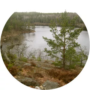 Ulvsjön - Lake in Sweden