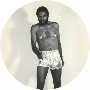 Ulysses Jenkins - Artist