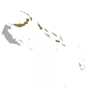 Umboi tube-nosed fruit bat