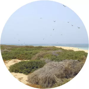 Umm Al Maradim Island - Island in the Persian Gulf