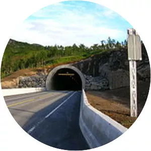 Umskartunnel