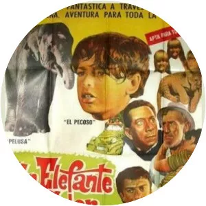 Un Elefante color ilusión