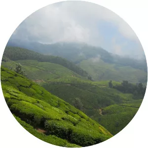 Una, Himachal Pradesh - Municipality in India