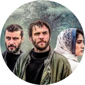 Under Water Cypress 2018