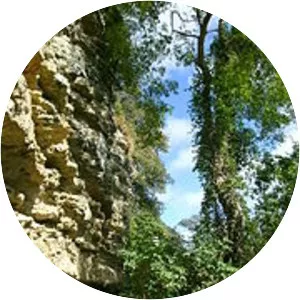 Undercliff - Isle of Wight