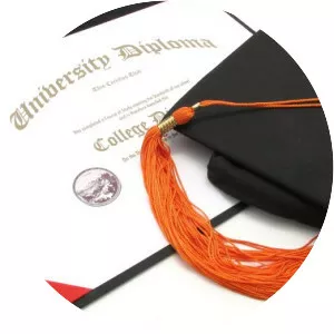 Undergraduate degree - 