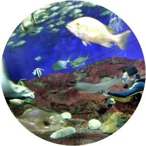 Underwater World, Singapore - 