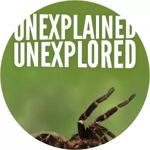 Unexplained, UnexploredSince 2004