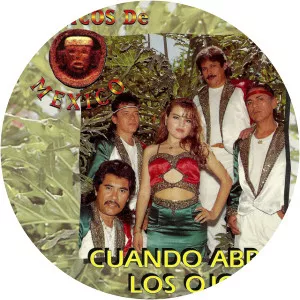 Únicos de México - Musical artist