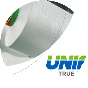 Unifi, Inc.