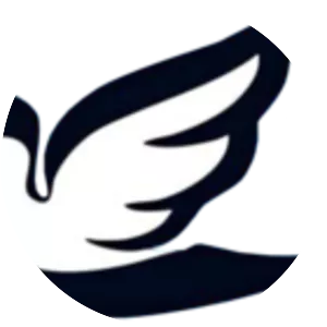 Union of Islamic Iran People Party