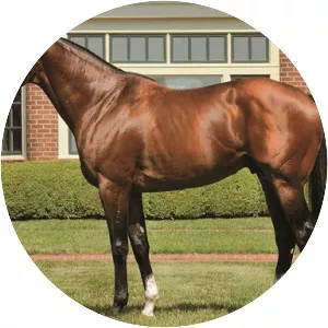 Union Rags