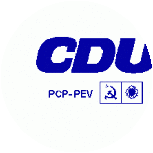 Unitary Democratic Coalition