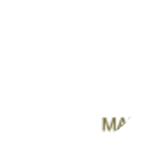 United States Marine Corps Reserve - Military reserve