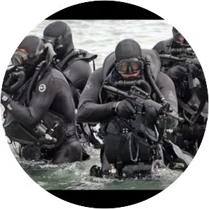 United States Navy SEALs