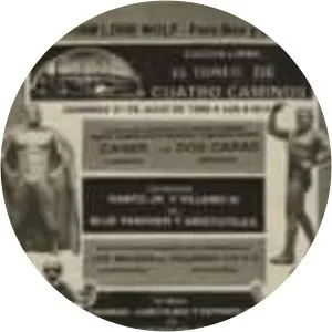 Universal Wrestling Association