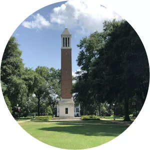 University of Alabama Quad - 