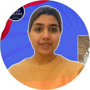 University of Insubria