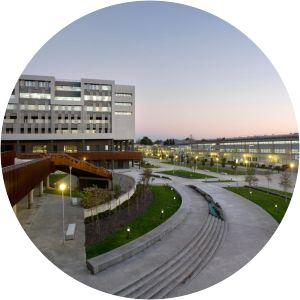 University of the Basque Country