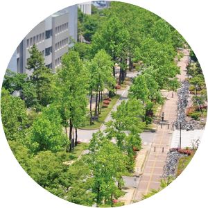 University of Toyama