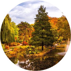 University of Wrocław Botanical Garden