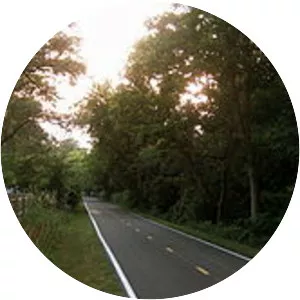 University Parks Trail - 