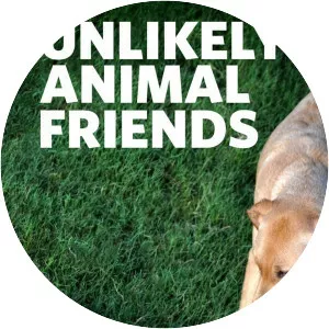 Unlikely Animal Friends