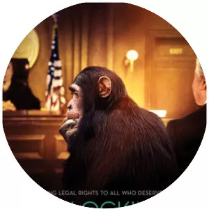 Unlocking the Cage - 2016 ‧ Drama/Historical Documentary ‧ 1h 31m